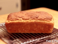 Gluten Free Friday: Sandwich Bread